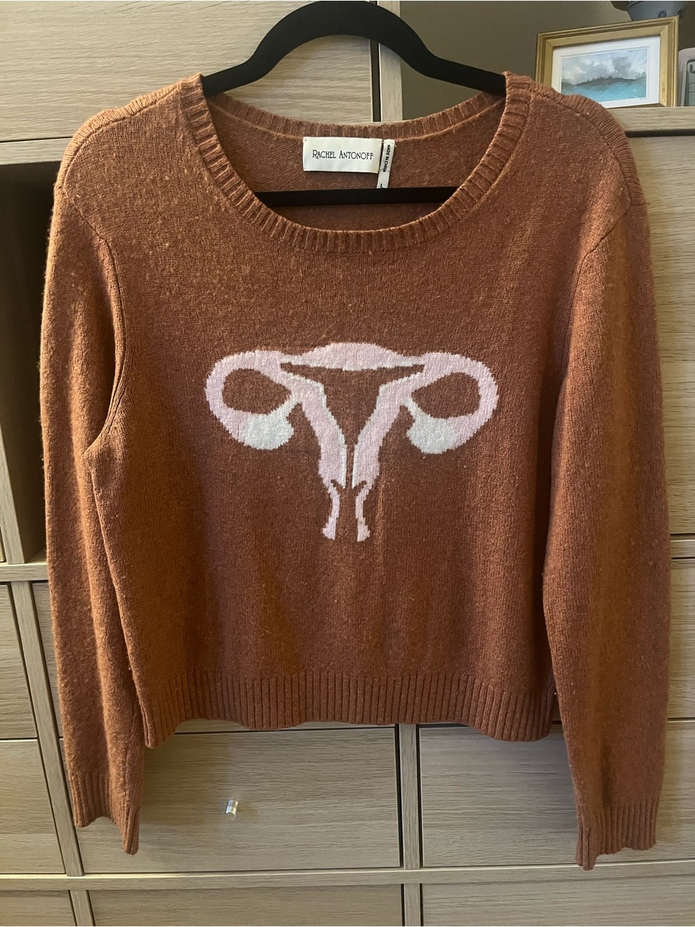 Rachel Antonoff Uterus sweater